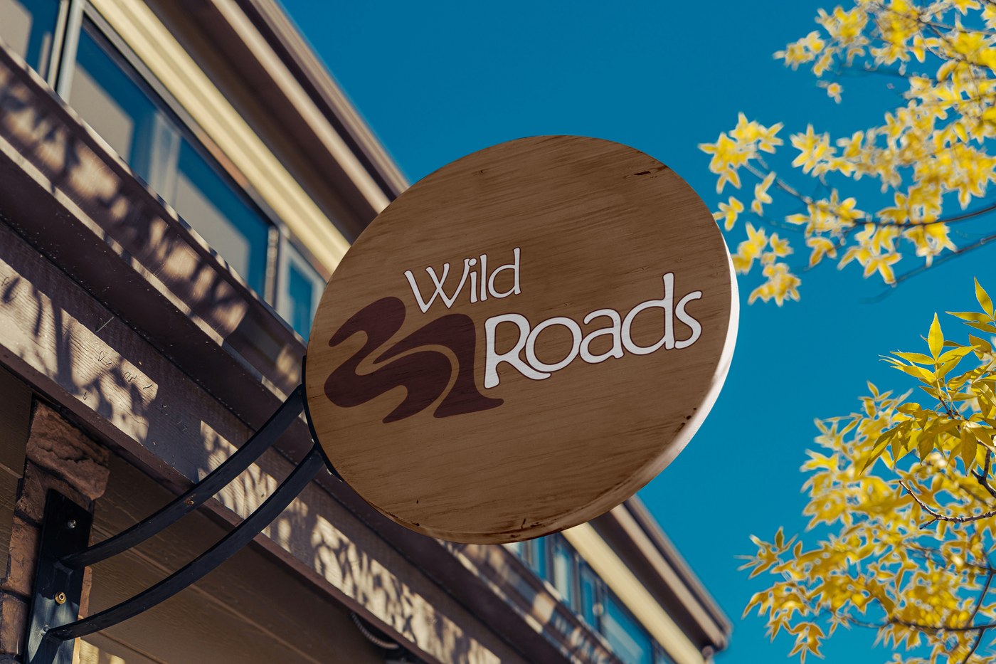 Wild Roads — Mockup panneau